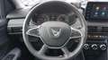 Dacia Jogger 1.0 TCE 81KW EXTREME GO 7S 110 5P 7 PLAZAS Orange - thumbnail 13