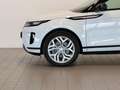 Land Rover Range Rover Evoque 2ª serie 2.0D I4 163 CV AWD Auto SE Білий - thumbnail 5