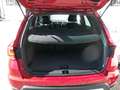 SEAT Arona TDI Xcel DSG ACC ABSTANDSTEMPOMAT Rot - thumbnail 9
