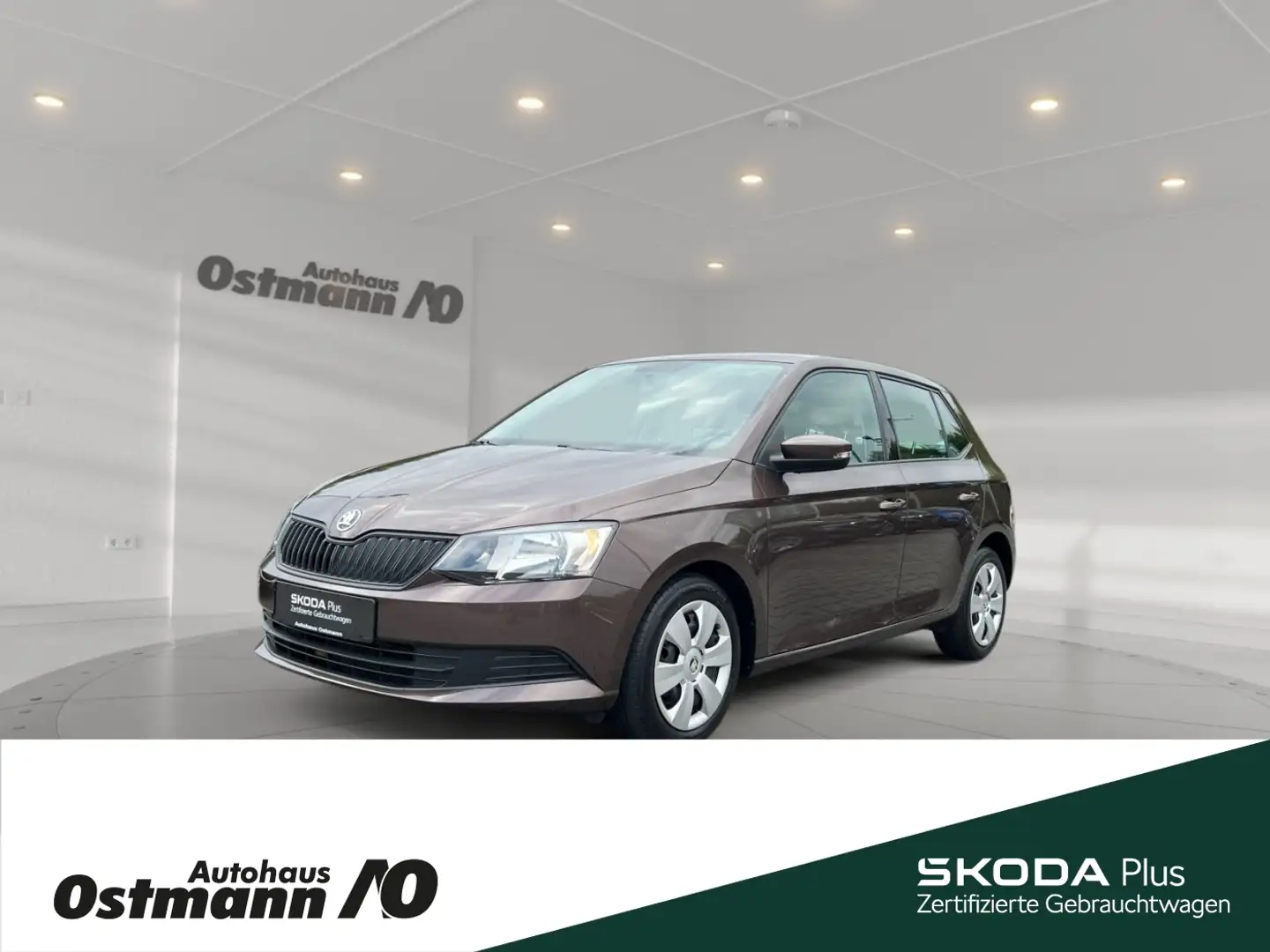 Skoda Fabia Cool Edition 66kw TSI Green tec *SHZ vo*DAB Brun - 1