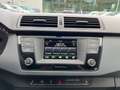 Skoda Fabia Cool Edition 66kw TSI Green tec *SHZ vo*DAB Brun - thumbnail 14