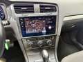 Volkswagen Golf e-Golf ePower Gris - thumbnail 33