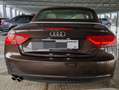 Audi A5 A5 Cabrio 2.0 TDI DPF (clean diesel) Braun - thumbnail 7