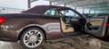 Audi A5 A5 Cabrio 2.0 TDI DPF (clean diesel) Braun - thumbnail 14