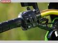Kawasaki Z 1000 Green - thumbnail 15