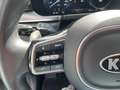 Kia Sorento 1.6 T-GDI Plug-in Hybrid 4WD ExecutiveLine | Pano Gris - thumbnail 12