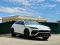 Lamborghini Urus Urus 4.0 V8 650 ch BVA8 Weiß - thumbnail 6