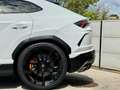 Lamborghini Urus Urus 4.0 V8 650 ch BVA8 Blanc - thumbnail 8
