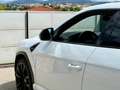 Lamborghini Urus Urus 4.0 V8 650 ch BVA8 Weiß - thumbnail 29