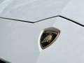 Lamborghini Urus Urus 4.0 V8 650 ch BVA8 Weiß - thumbnail 21