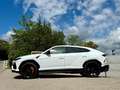 Lamborghini Urus Urus 4.0 V8 650 ch BVA8 Blanc - thumbnail 2
