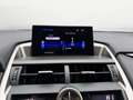 Lexus NX 300h Executive Hybrid CVT 197PS | Leder | Kamera Grau - thumbnail 16