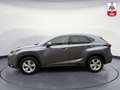 Lexus NX 300h Executive Hybrid CVT 197PS | Leder | Kamera Grau - thumbnail 5