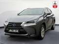 Lexus NX 300h Executive Hybrid CVT 197PS | Leder | Kamera Grau - thumbnail 4