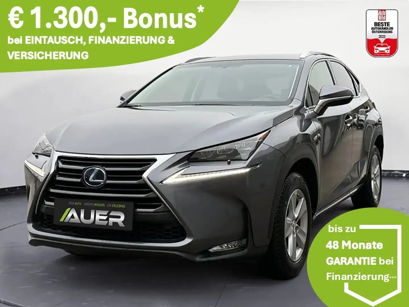 Lexus NX 300h Executive Hybrid CVT 197PS | Leder | Kamera Grau - 1