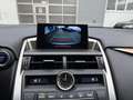 Lexus NX 300h Executive Hybrid CVT 197PS | Leder | Kamera Grau - thumbnail 20
