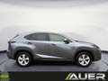 Lexus NX 300h Executive Hybrid CVT 197PS | Leder | Kamera Grau - thumbnail 9