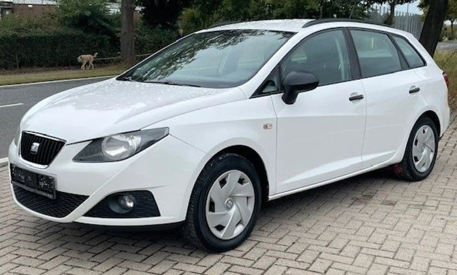 SEAT Ibiza ST Reference Biały - 1