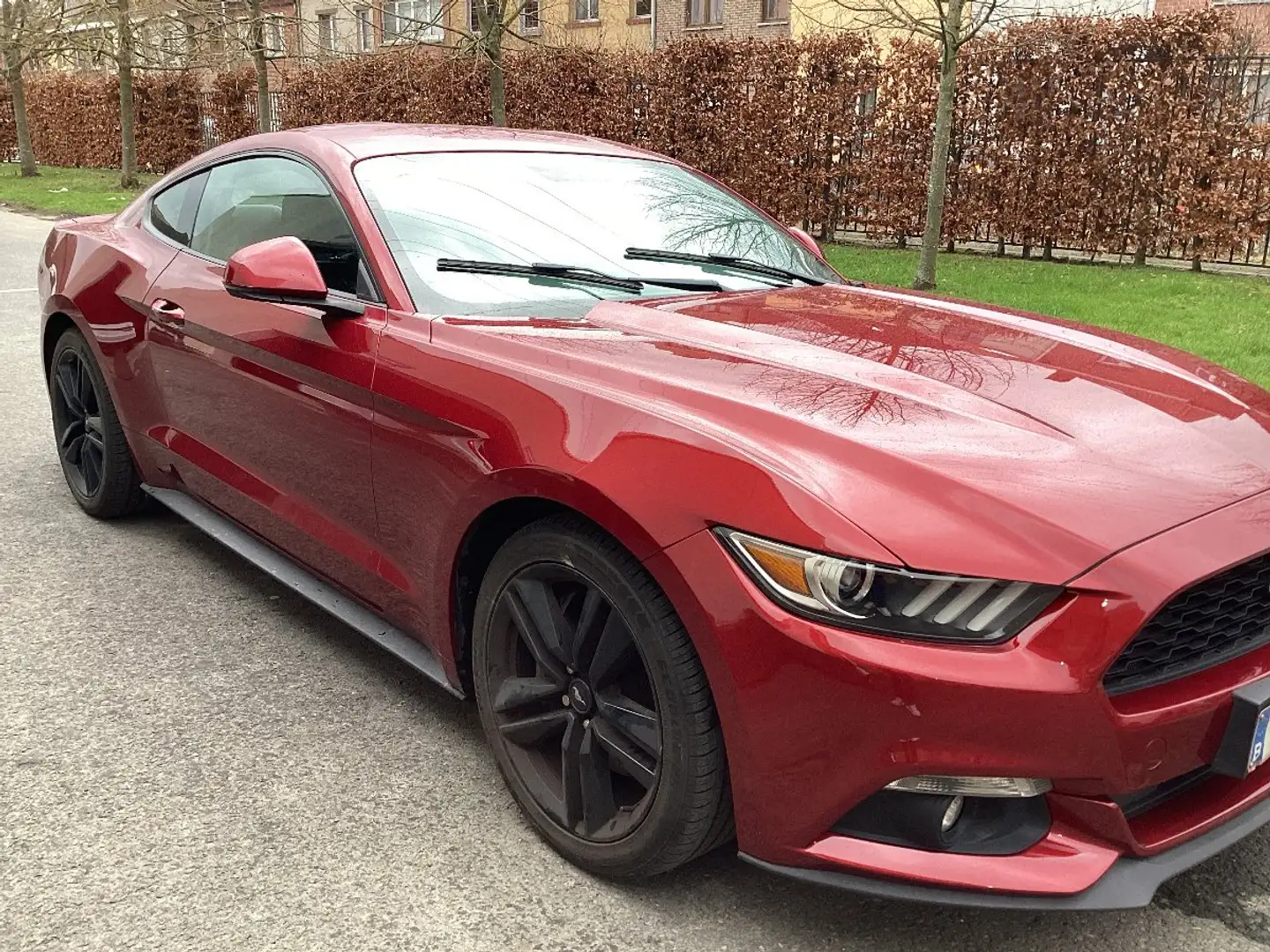 Ford Mustang 2.3 EcoBoost Rouge - 1