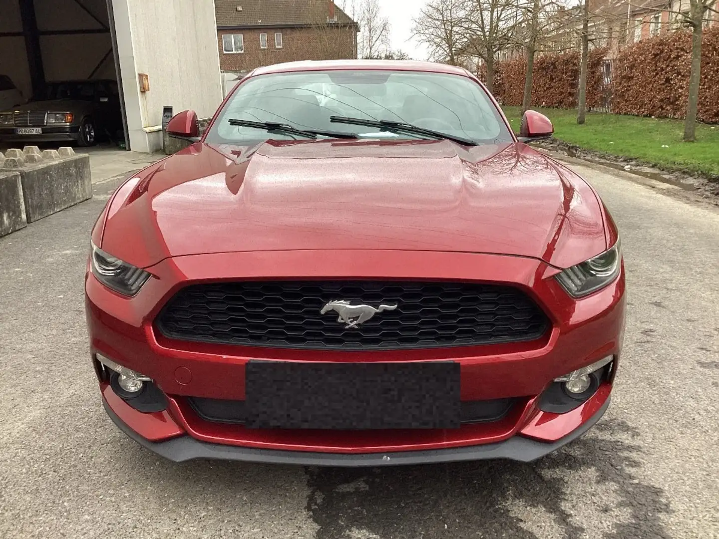 Ford Mustang 2.3 EcoBoost Rouge - 2