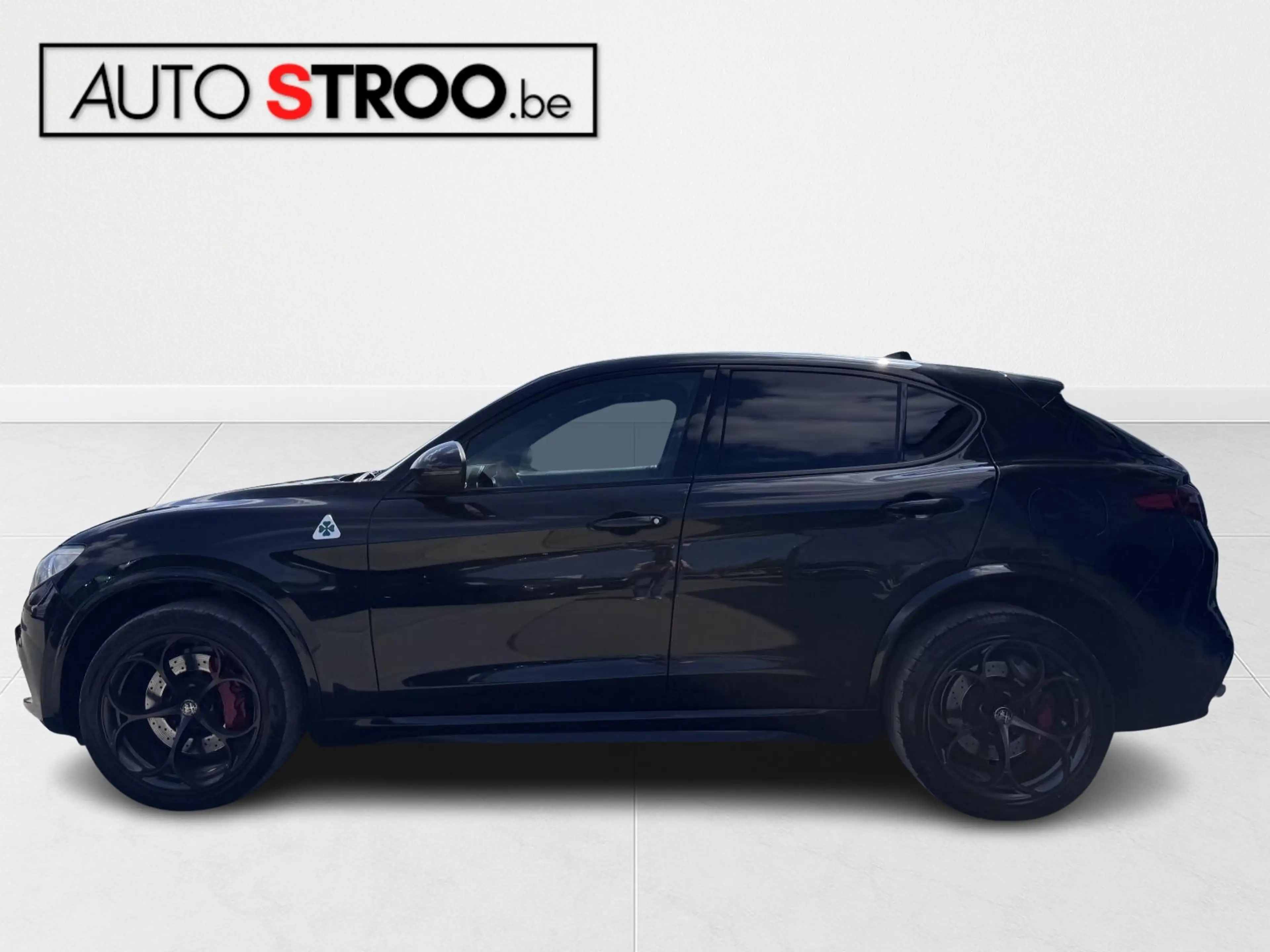 Alfa Romeo Stelvio 3.0 Quadrifoglio | PANO | full option — photo 8