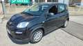 Fiat Panda 1.0 FireFly S&S Hybrid Schwarz - thumbnail 3