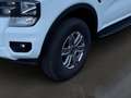 Ford Ranger XLT Doppelkabine 2.0 EcoBlue 125kW *ALLRAD*ANHÄNGE Blanco - thumbnail 4