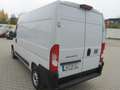 Fiat Ducato 35  L2H2  140  Kamera, verst. Federn Weiß - thumbnail 2