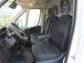 Fiat Ducato 35  L2H2  140  Kamera, verst. Federn Weiß - thumbnail 9