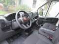 Fiat Ducato 35  L2H2  140  Kamera, verst. Federn Weiß - thumbnail 10