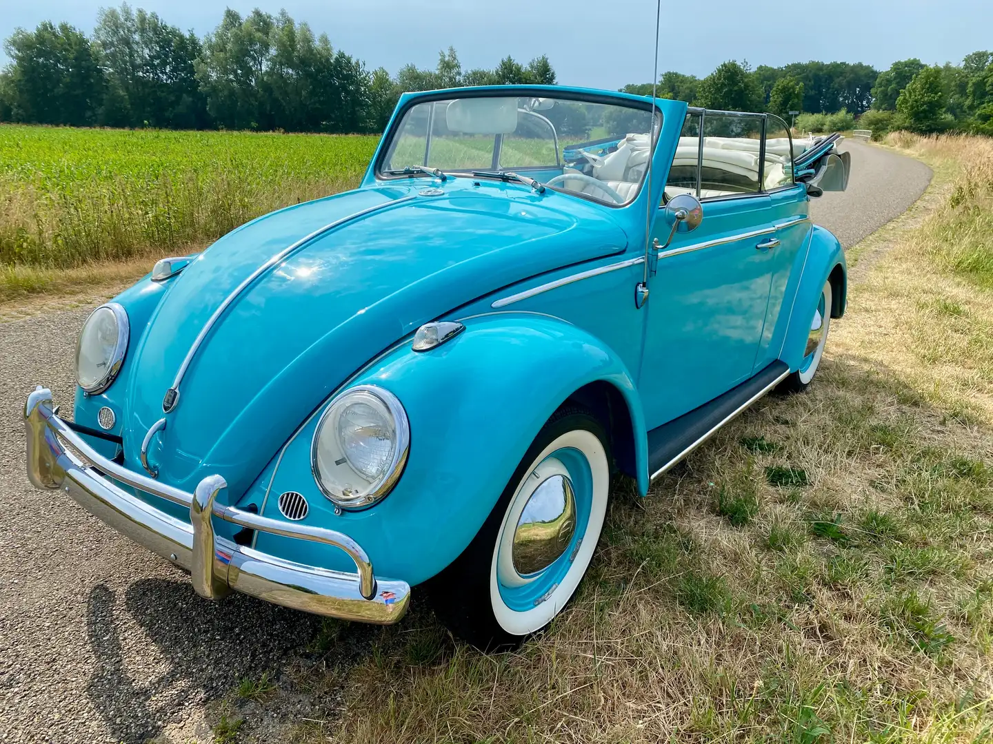Volkswagen Kever cabrio 1962 body off gerestaureerd Albastru - 1