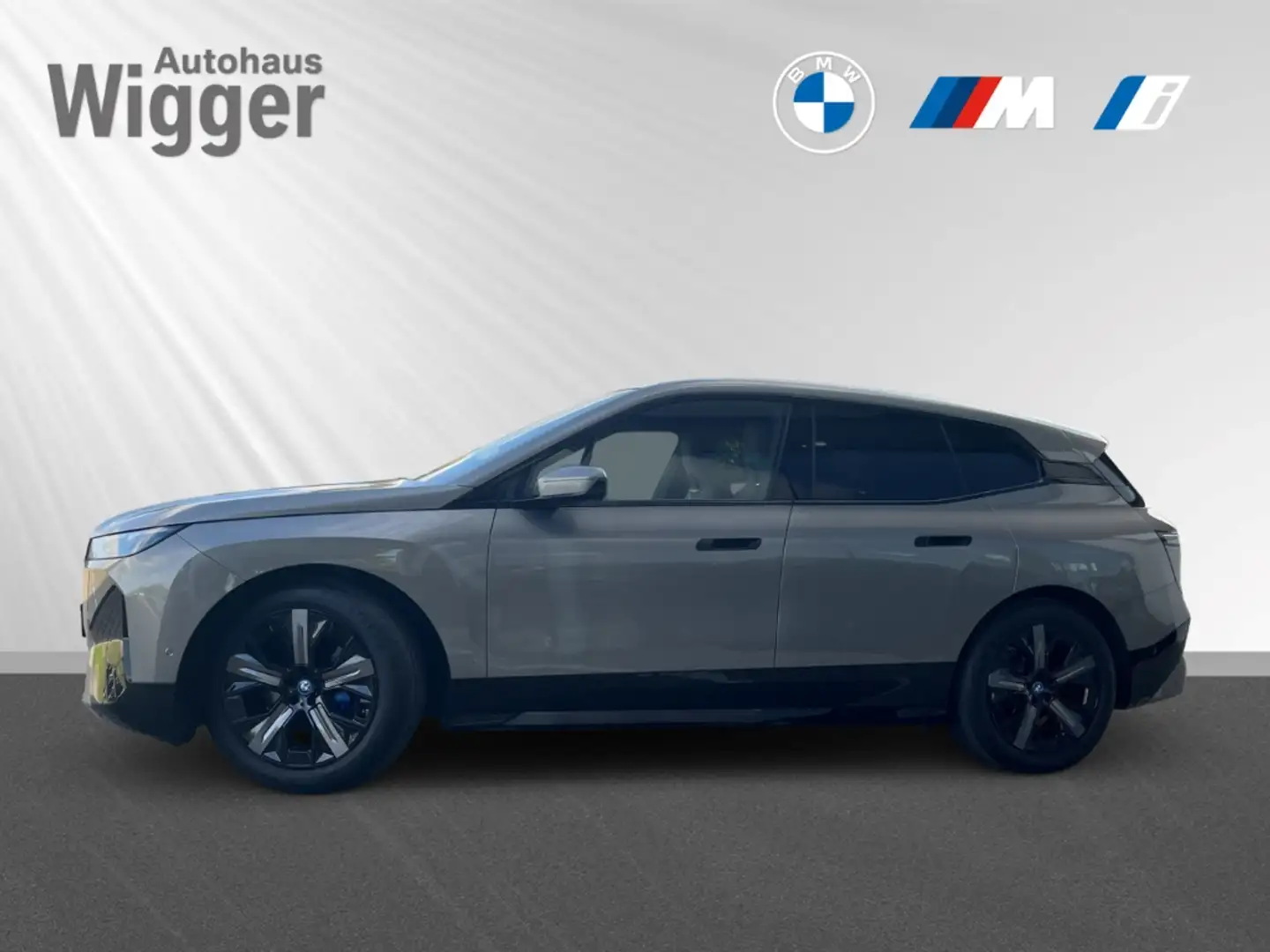 BMW iX xDrive50/Sportpaket/HUD/AHK/Panoramadach/h&k Grau - 2