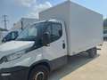 Iveco Daily 35S15 SPONDA IDRAULICA Blanc - thumbnail 2