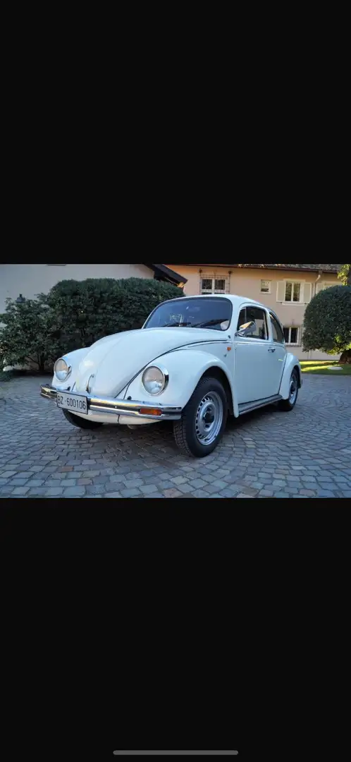 Volkswagen Käfer Bianco - 2