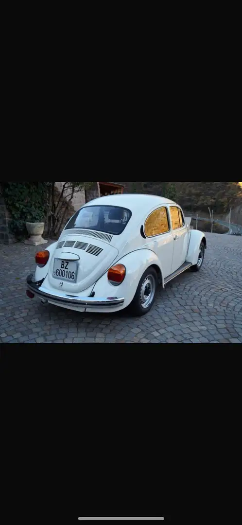 Volkswagen Käfer Bianco - 1