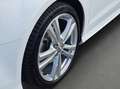 Audi A3 1.4 TFSI Sportfahrwerk*PANO*GRA*EPH Blanco - thumbnail 13