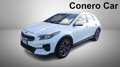 Kia XCeed 1.6 crdi Style 115cv Grigio - thumbnail 2