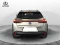 Lexus UX 250h UX 250h 2.0 Midnight 2wd cvt Grigio - thumbnail 6