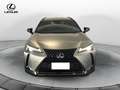 Lexus UX 250h UX 250h 2.0 Midnight 2wd cvt Grigio - thumbnail 5