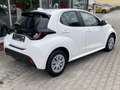 Toyota Yaris 1.5 Dual-VVT-iE (Hybrid) Business Edition*Pflegedi Weiß - thumbnail 5