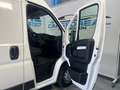 Citroen Jumpy Talla XL BlueHDi 120 S&S 6v Control Blanco - thumbnail 39