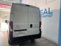 Citroen Jumpy Talla XL BlueHDi 120 S&S 6v Control Blanco - thumbnail 7