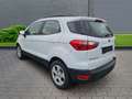 Ford EcoSport Cool & Connect 1.5 EcoBlue EU6d-T Alarm Notbremsas Weiß - thumbnail 2