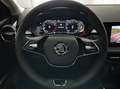 Skoda Fabia 1.0 TSI Ambition DSG 81kW Gris - thumbnail 9