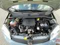 Fiat Panda Panda III 1.0cc hybrid City Life Grigio - thumbnail 11