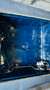 Jaguar XJ12 Daimler Double Six Blau - thumbnail 18