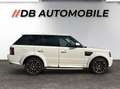 Land Rover Range Rover Sport 3,0 SDV6 HSE Black Weiß - thumbnail 4