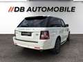 Land Rover Range Rover Sport 3,0 SDV6 HSE Black Weiß - thumbnail 5