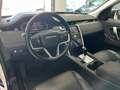 Land Rover Discovery Sport Discovery Sport I 2020 2.0d td4 mhev SE awd 163cv - thumbnail 14