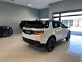 Land Rover Discovery Sport Discovery Sport I 2020 2.0d td4 mhev SE awd 163cv - thumbnail 6